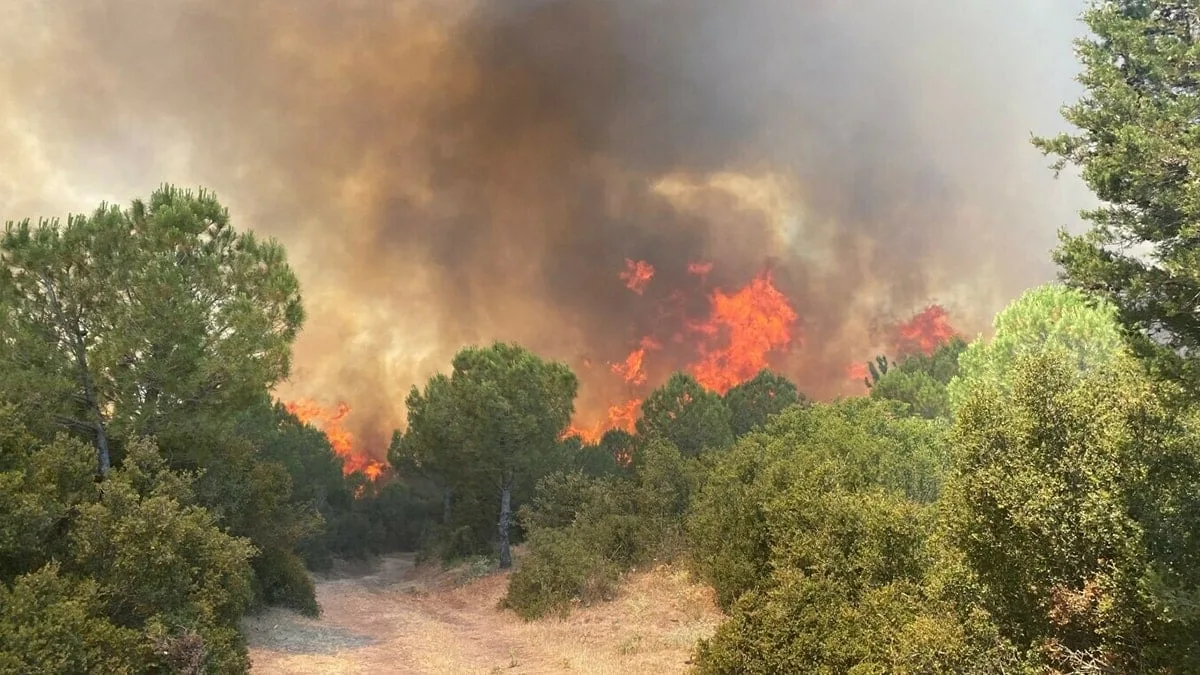 7 ilde orman yangını: Havadan ve karadan müdahale sürüyor