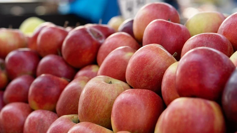 Elma yerken bir kez daha düşünün: Çekirdekleri zehre dönüşüyor