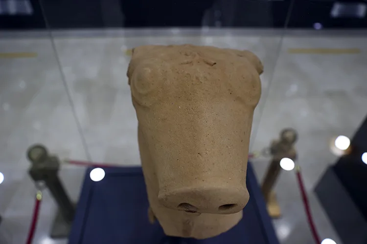 Kepçeye takılan Hitit dönemine ait boğa başlı testi parçası müzede sergileniyor