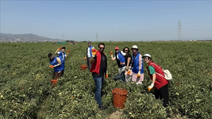 Aydınlı gençlerden domates toplayan işçilere destek