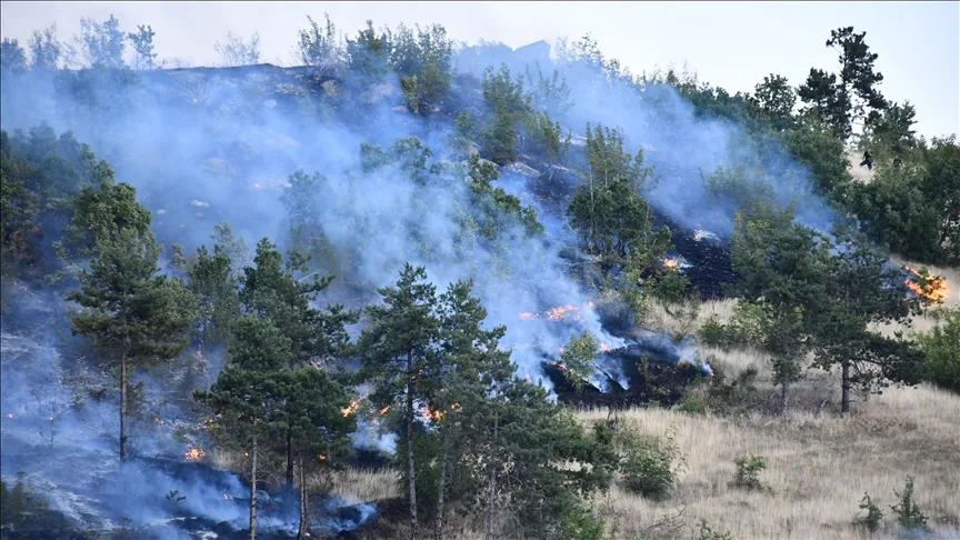 Kuzey Makedonya hükümeti orman yangınları nedeniyle “kriz durumu” ilan etti