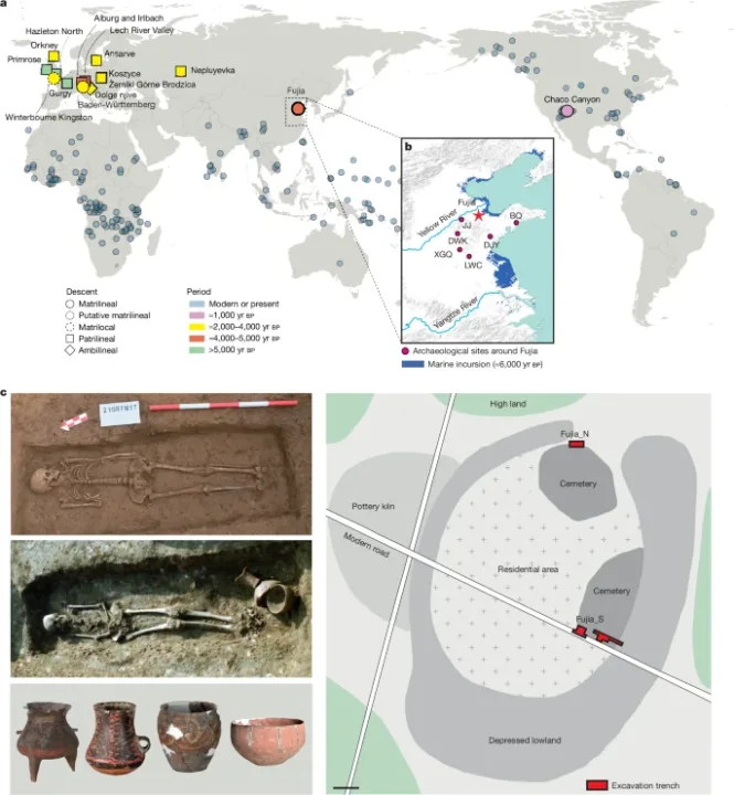 Çin’de 5.000 Yıllık Anaerkil Toplum Keşfedildi: DNA, Kadından Oluşan Eski Klanları Ortaya Çıkardı.
