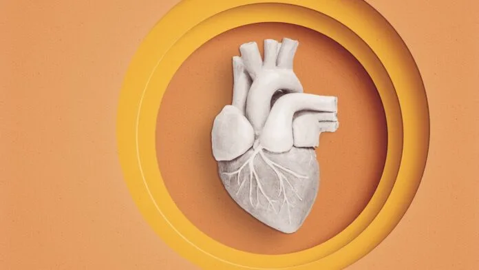 Cerrahlar, Kalpleri Donör Vücudu Olmadan ‘Başlatmak’ İçin 2 Yöntem Geliştirdi