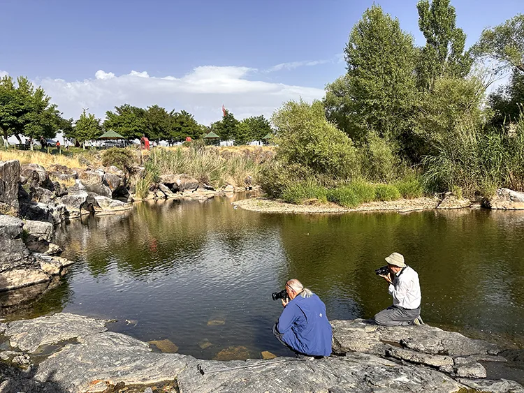 Van Gölü’nün “yavru incileri” dönüş yolculuğunda