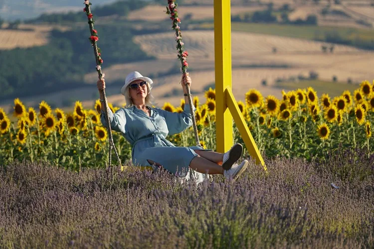 Tekirdağ’da kanola, ayçiçeği ve lavanta tarlaları kentin turizmine renk kattı
