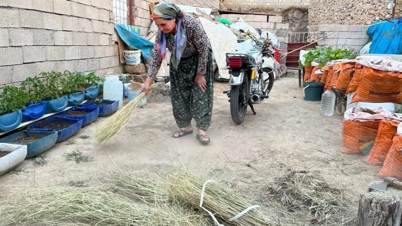 Babaannesinden öğrendiği ot süpürgesi geleneğini yaşatıyor