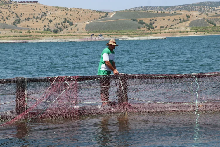 Denizi olmayan Yozgat’tan Avrupa’ya Türk somonu ve alabalık ihracatı