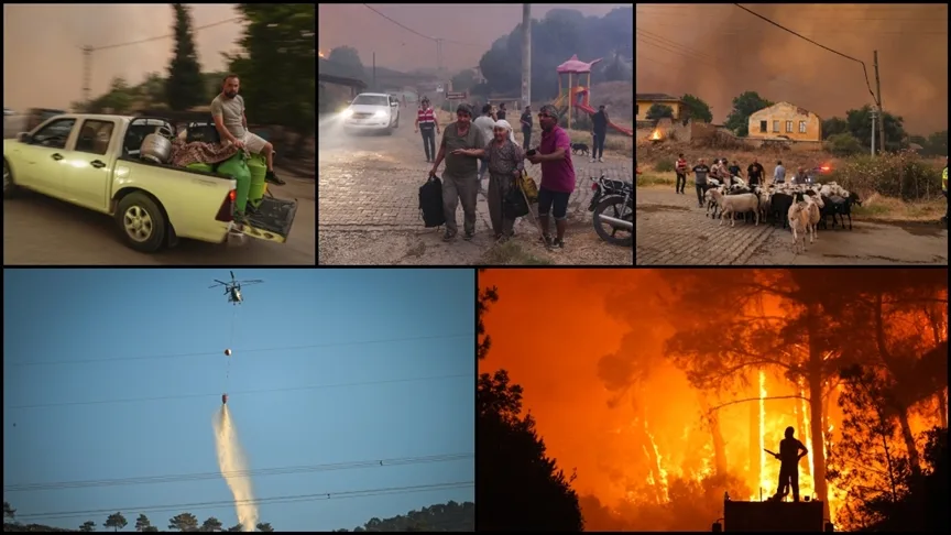 Bilecik, İzmir ve Hatay’da orman yangınlarından etkilenenlere yaklaşık 12,3 milyon liralık destek