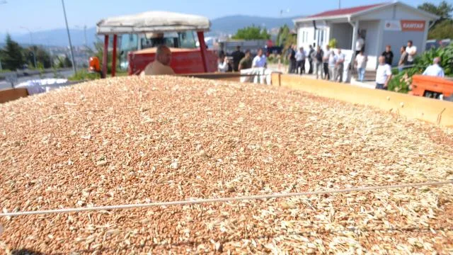 TMO, 1 milyon tonun üzerinde hububat aldı