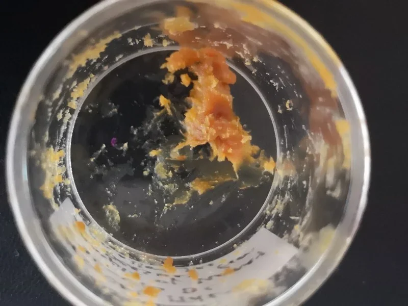 Dünyanın En Eski Ritüel Balı İtalyan Tapınağının Altındaki Bronz Kavanozlarda Bulundu