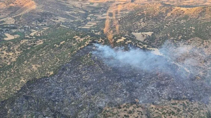 Bakan Yumaklı: 3 ildeki orman yangınları büyük oranda kontrol altında