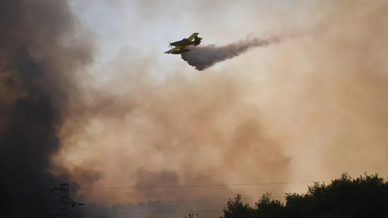Aşırı sıcaklar, Türkiye ve Akdeniz’de ormanları tehdit ediyor