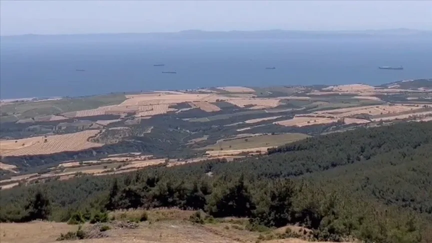 Tekirdağ’da orman yangınının neden olduğu tahribat havadan görüntülendi