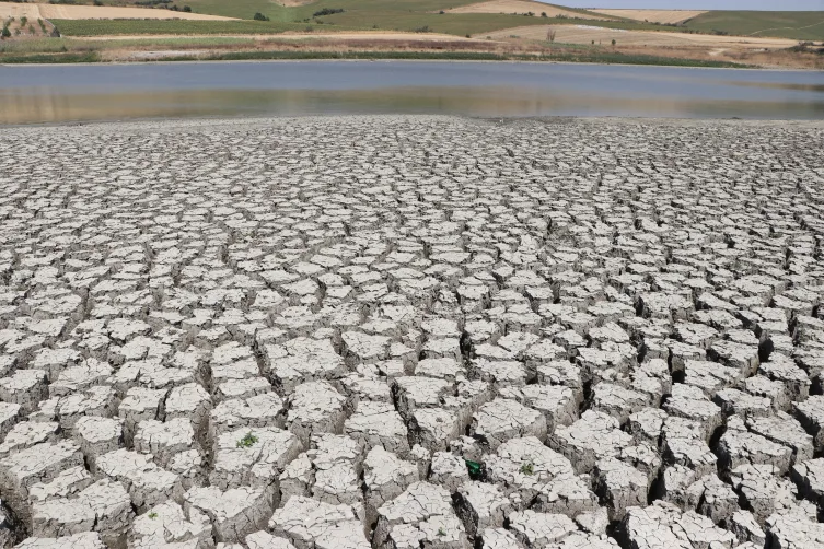 Tekirdağ’da kuraklık çok sayıda balık ölümüne sebep oldu