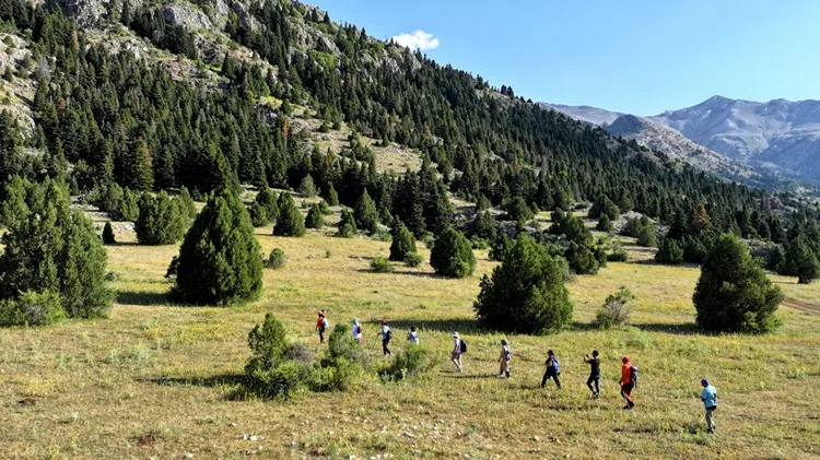 Toros Dağları eteklerindeki Berçin Yaylası doğaseverlerin yeni gözdesi oldu