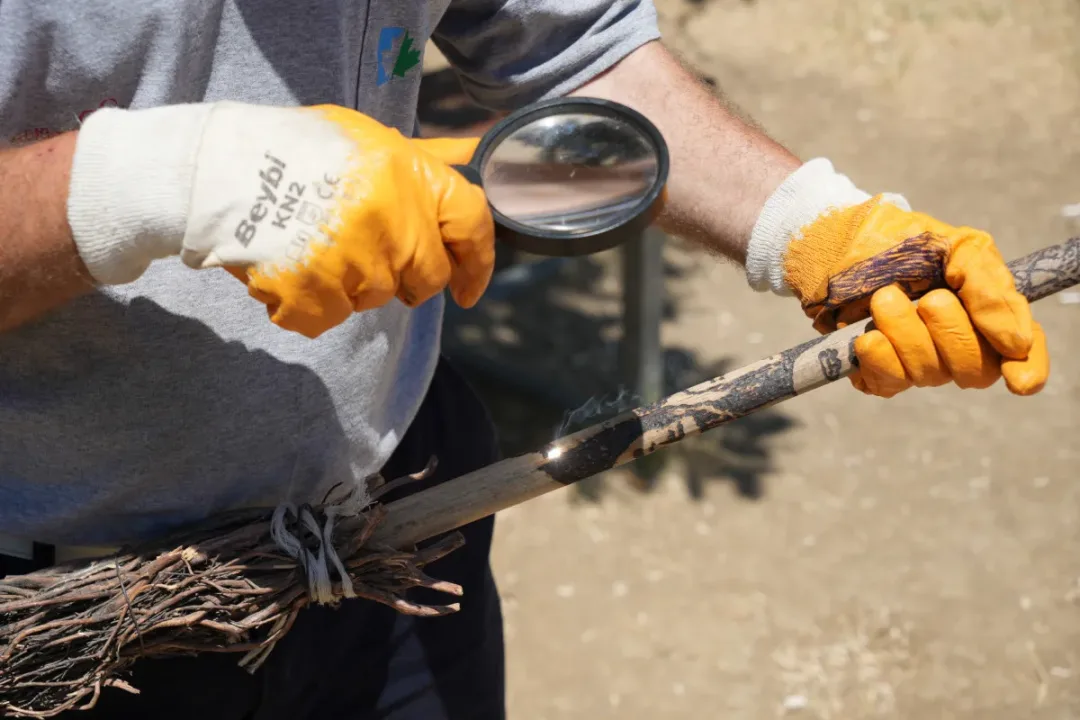Kocaeli’de temizlik işçisi, güneşi kalem gibi kullanıyor