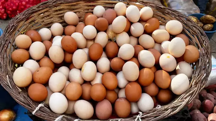 Beyaz, kahverengi, krem ya da benekli… Hangi yumurta seçilmeli? Kimse farklarını bilmiyor