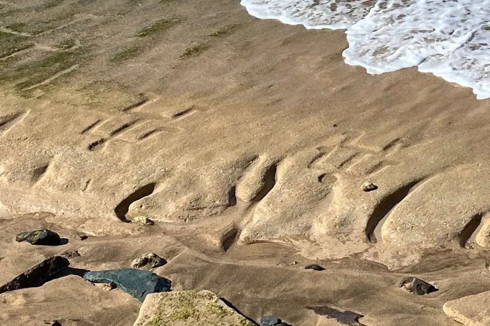 Antik Hawaii Petroglifleri