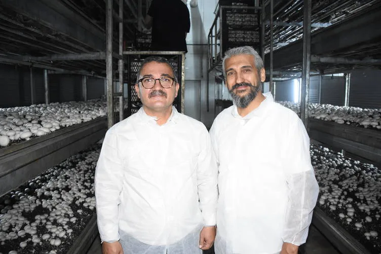 Devlet desteğiyle kurduğu tesiste ayda ortalama 15 ton mantar üretiyor