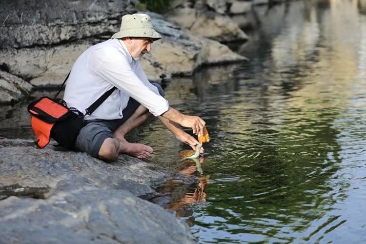 Vanlı doğa fotoğrafçısı Deliçay’daki su kaplumbağalarını elleriyle besliyor