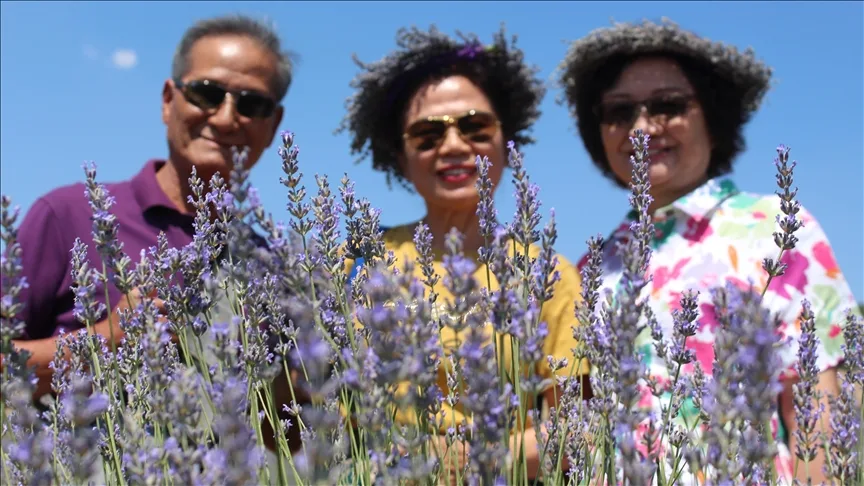 Isparta’nın mor tarlaları turistlerin uğrak adresi oldu