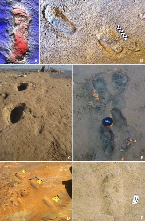Araştırmacılar Portekiz’de İlk Bilinen Neandertal Ayak İzlerini Ortaya Çıkardılar