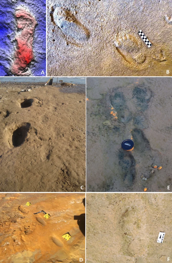 Araştırmacılar Portekiz’de İlk Bilinen Neandertal Ayak İzlerini Ortaya Çıkardılar