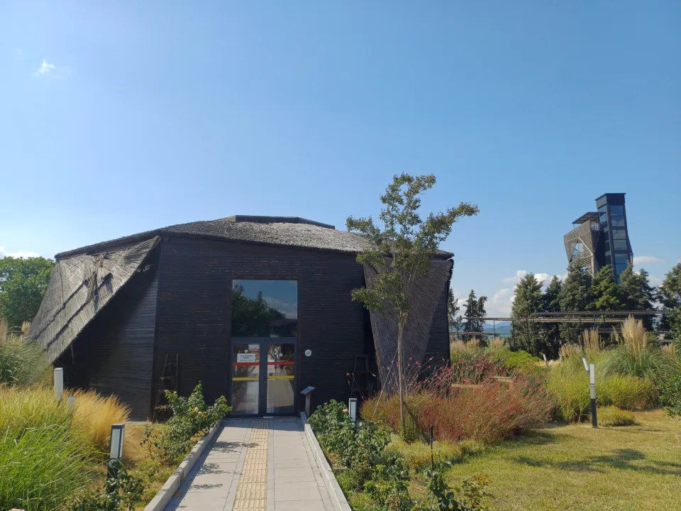 Yalova’nın Kuşları ve Kelebekleri Bu Müzede