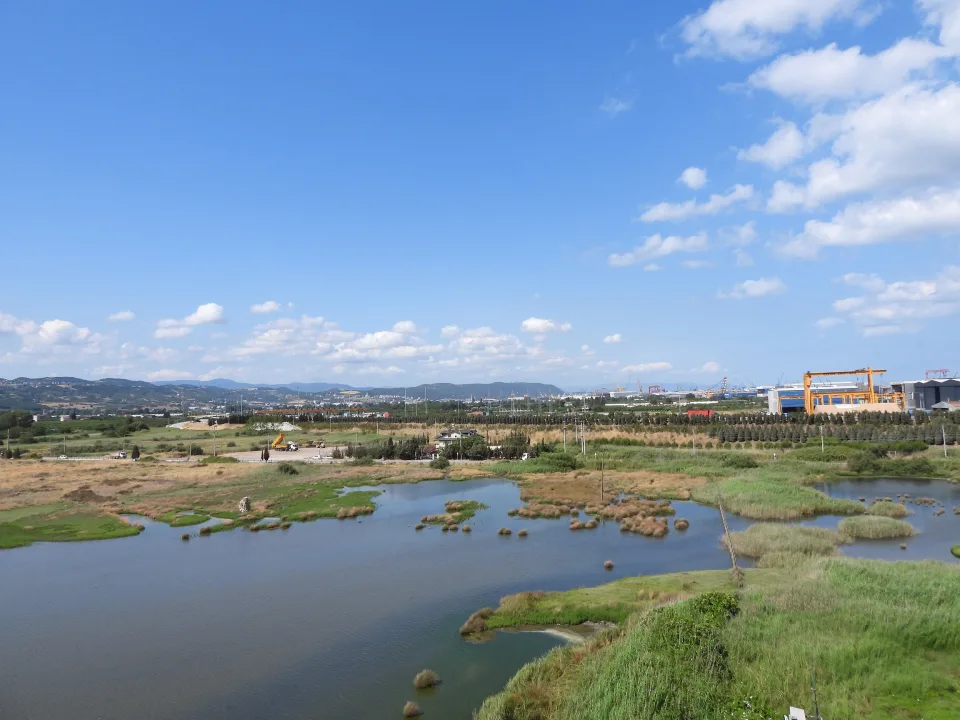 Yalova’nın Doğa Hazinesi: Hersek Lagünü Sulak Alanı