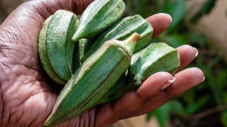 Diyet veya ameliyat değil: Hızlıca kilo vermenin sırrı onda