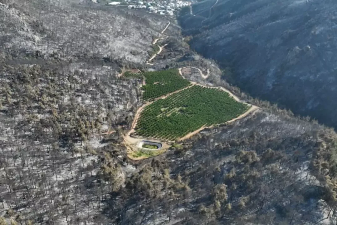 Bursa’yı kül eden alevler bir tek oraya ulaşamadı!.. Nedeni ders olacak cinsten