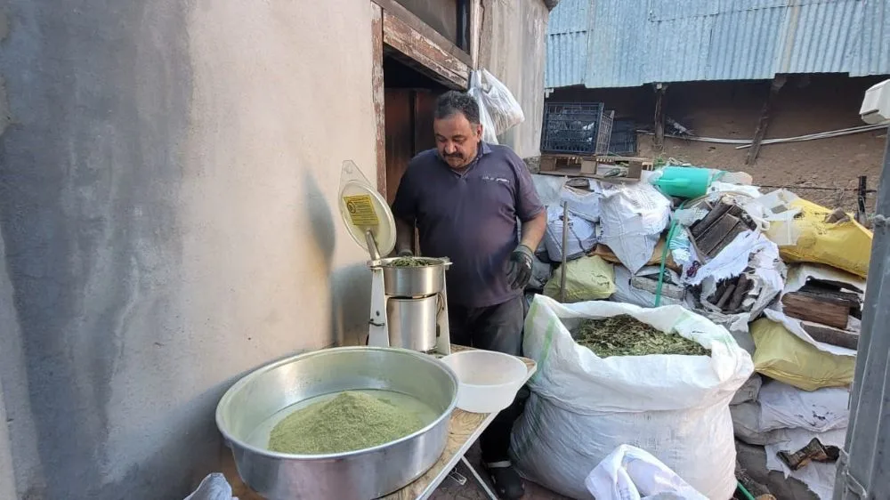 120 çeşit bitkinin karışımıyla elde edilen baharat Zetrin