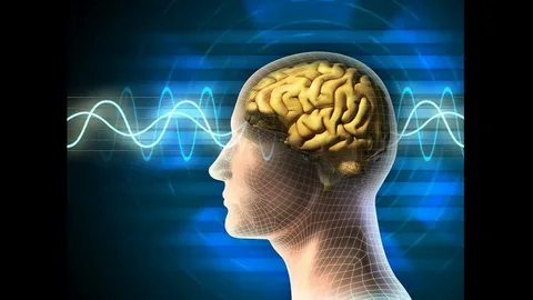 Beynimizi genç tutmalıyız