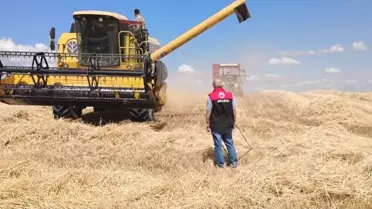 Gümüşhacıköy’de dane kayıplarının en aza indirilmesi ve yangın risklerinin önlenmesi amacıyla kapsamlı önlemler alındı.