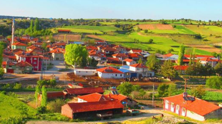 5 yaşındaki kız tek hamlesiyle bu güzel köyü yok olmaktan kurtardı