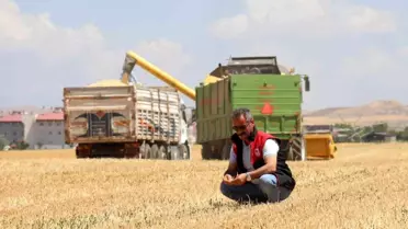 Van’da Kuraklık Çiftçiyi Vurdu