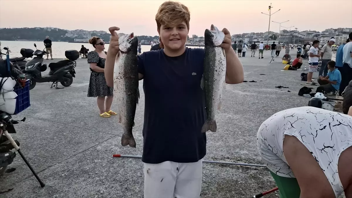 Sinop’ta Deniz Soğukları Balıkları Kıyıya Vurdu