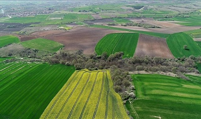 Tapu Sahiplerine 45 Günlük Kritik Süre