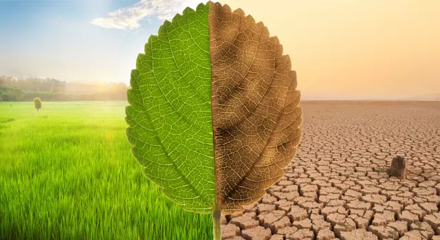 Türkiye’nin ilk İklim Kanunu Teklifi TBMM’de kabul edildi