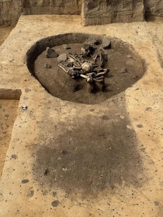 Almanya’da Ortaya Çıkarılan 5.000 Yıllık Gizemli Ritüel Çukurları, Yanmış Evler, Köpek Kurbanları ve İnsan Kafatasları Ortaya Çıkardı.