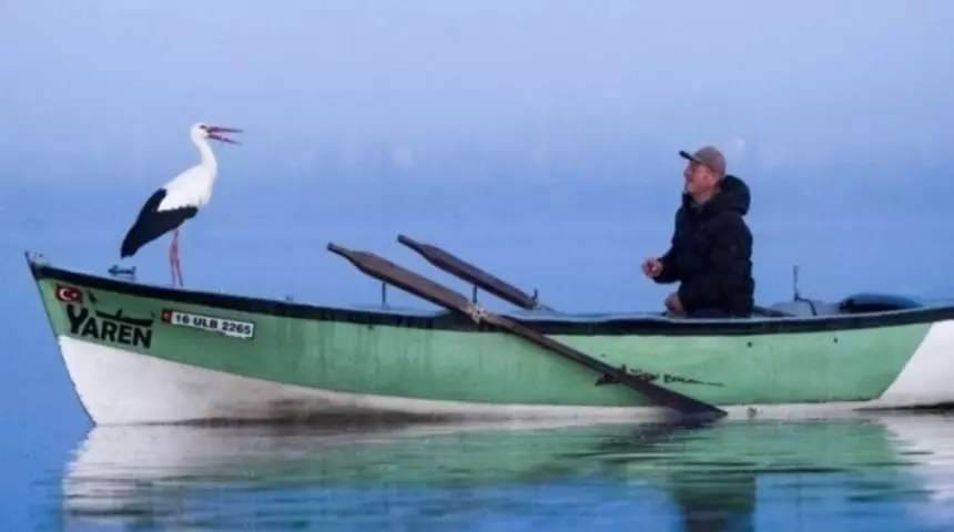 Duygulandıran veda.. Yaren leylek bu yıl erken göçtü! 