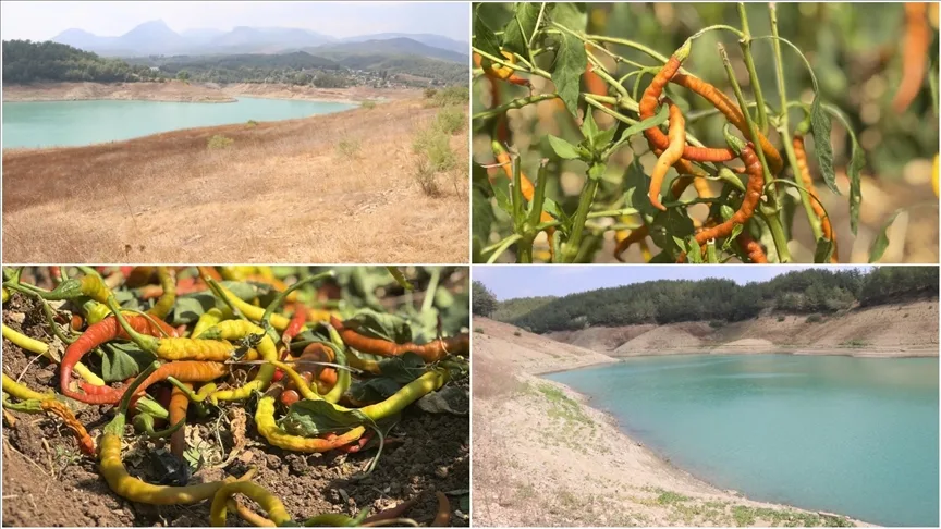 Adana’da üç barajın doluluk oranı kuraklık nedeniyle düştü