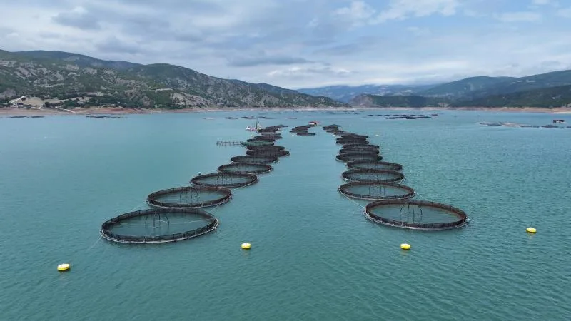 Tokat’tan 29 ülkeye balık ihraç edildi