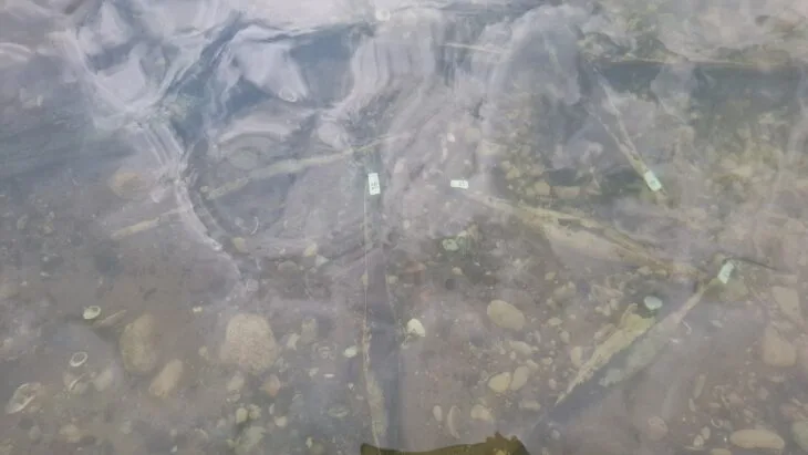 Avrupa’nın Piramit Şeklindeki Külçe Hazinesi