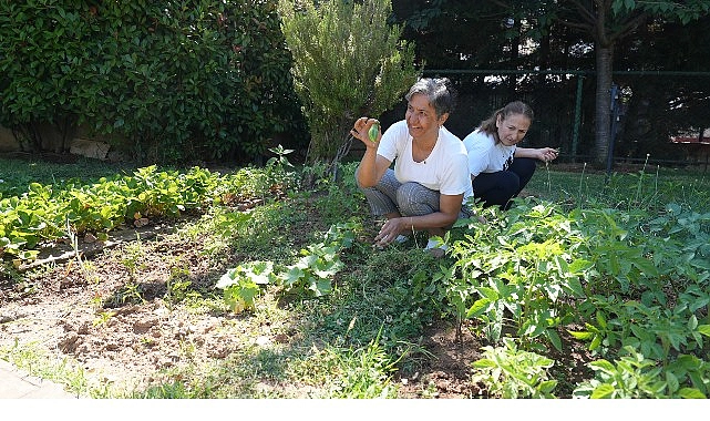 Altın Yıllar Yaşam Merkezi’nde hasat zamanı