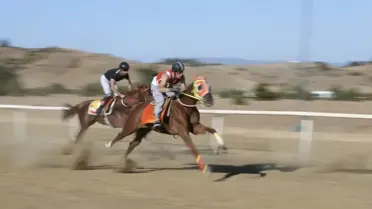 Taşköprü Kültür ve Sarımsak Festivali’nde At Yarışı