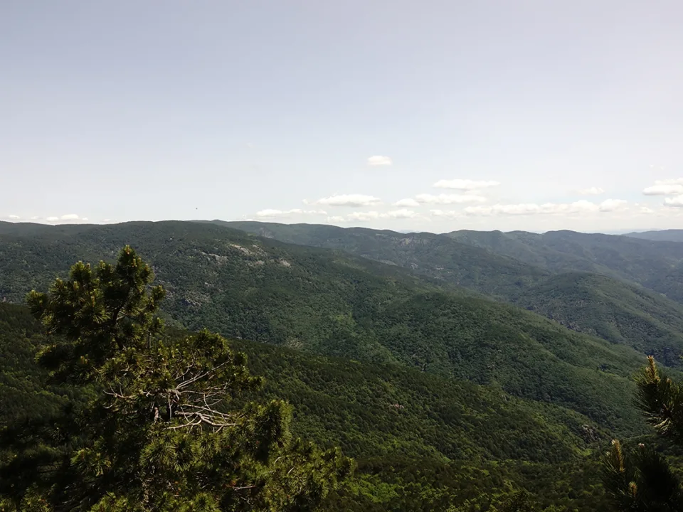 Türkiye’nin 14 masifinden biri olan Kazdağları yüzlerce bitki çeşidine ev sahipliği yapıyor