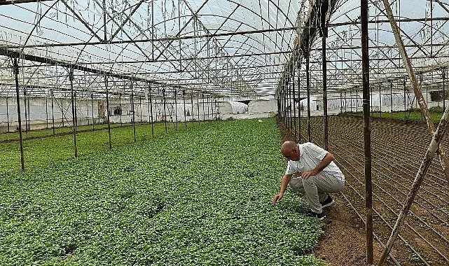 Damla Sulama Projesi Başladı