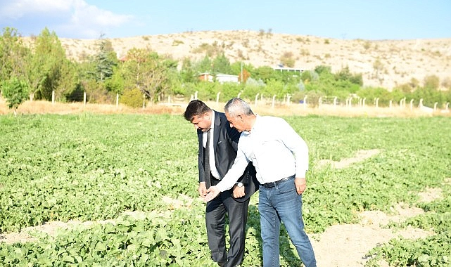 Ankara’nın Meşhur Kazan Kavunu Sofralara Geri Dönüyor