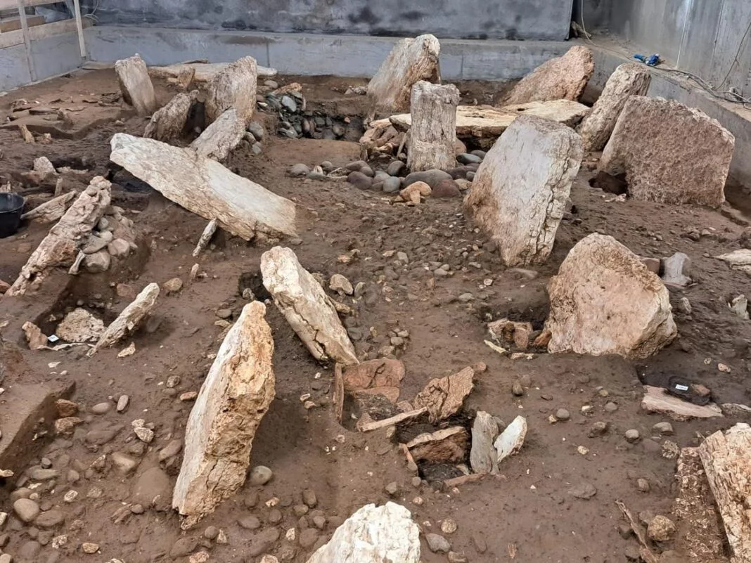 İtalya’daki “Alplerin Efendileri”nin Nekropolü: Trento’da Olağanüstü Bir Arkeolojik Keşif
